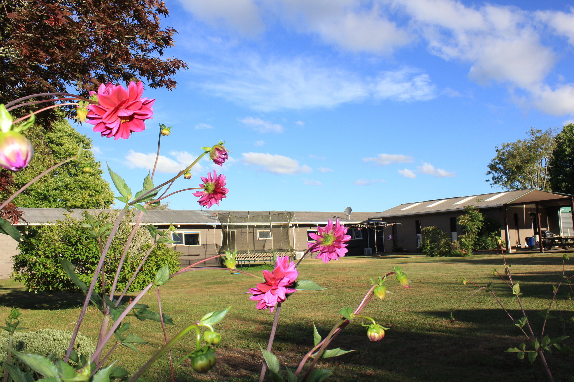 Lakeview Small Studio Rotorua Exterior photo